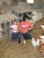Feeding Chickens3